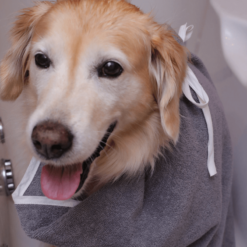 Pregača za kupanje psa (frotir siva 2)