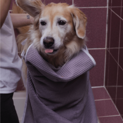 Pregača za kupanje psa (wafel ljubicasta 2)