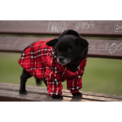 Majica za psa sa kapuljačom Dezen 2 (3)